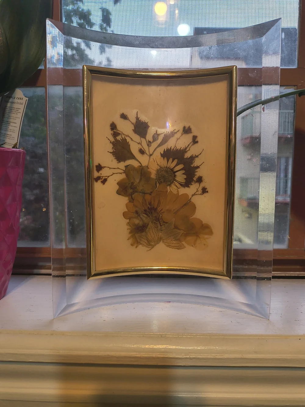 Vintage Lucite Acrylic Pressed Flower Picture Frame Mid Century Modern Decor